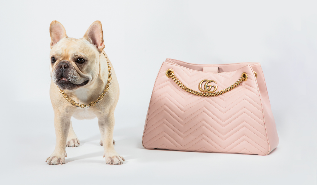 11 Best Gucci Crossbody Bags According to Fashion Editors